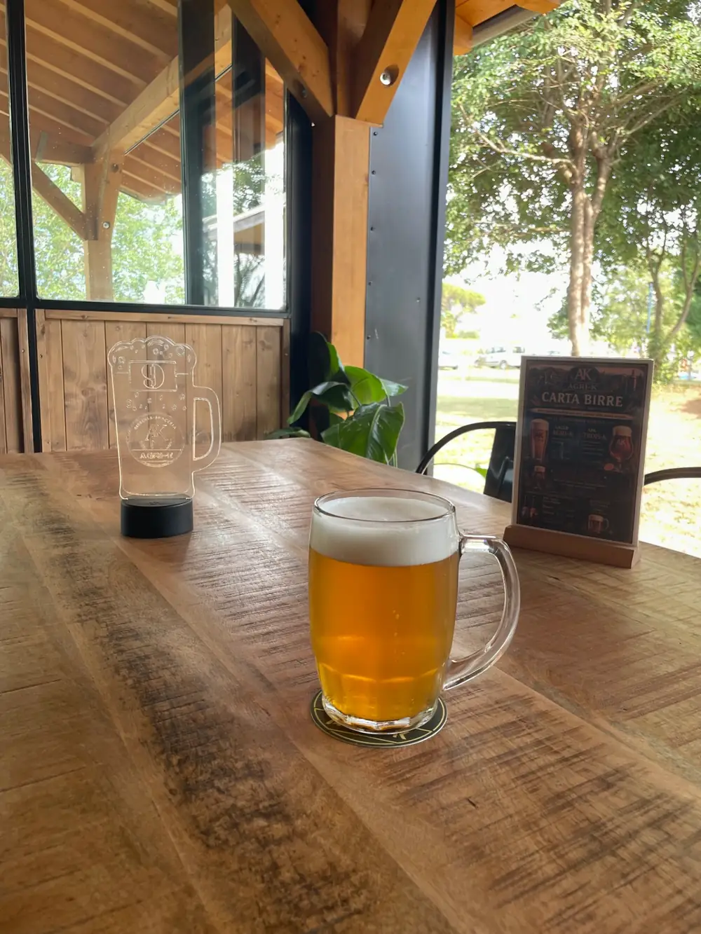 Boccale di birra fresca su tavolo in legno con vista sul giardino
